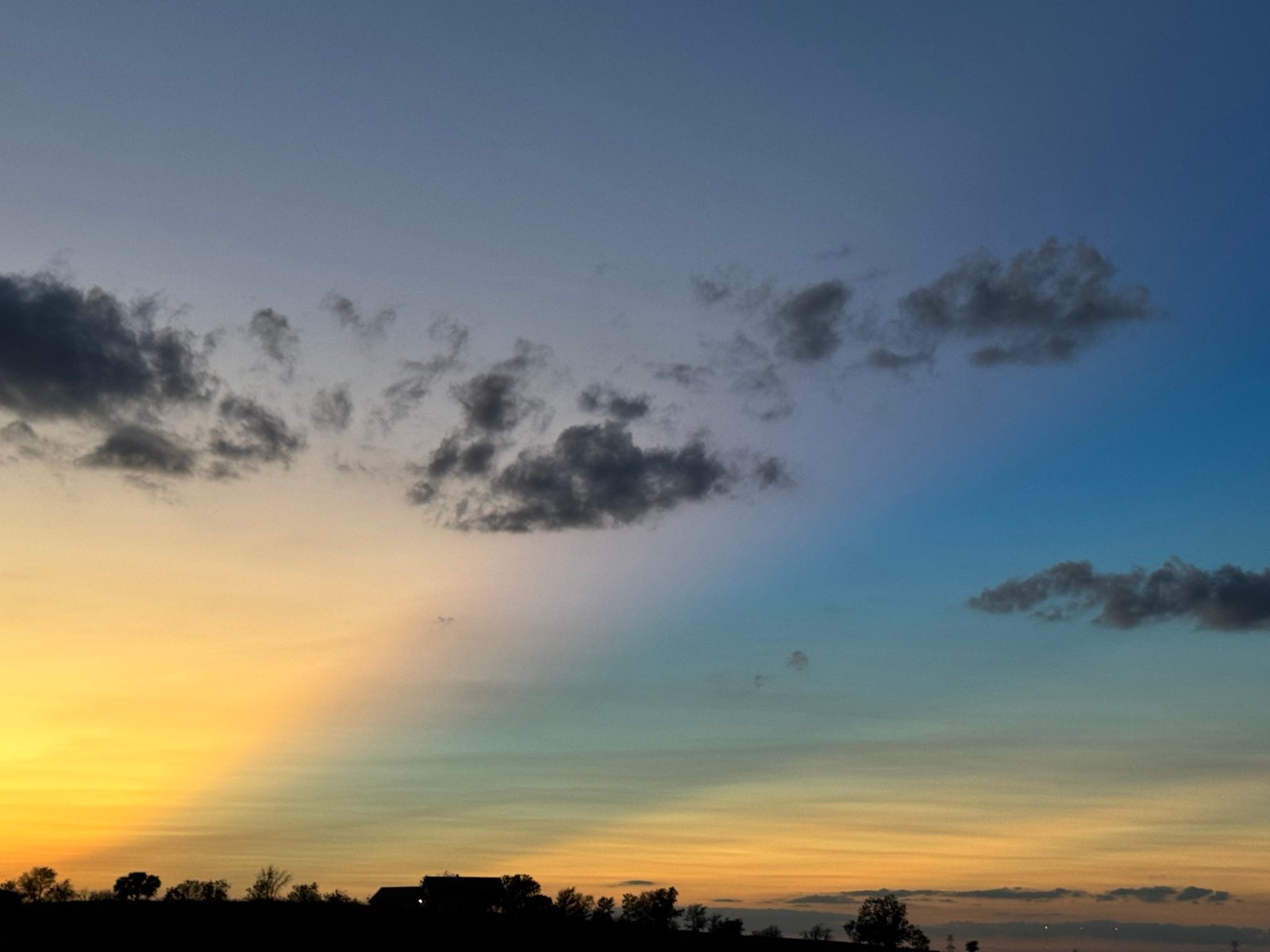 Golden sunset rays fanning across a blue evening sky above a dark line of trees